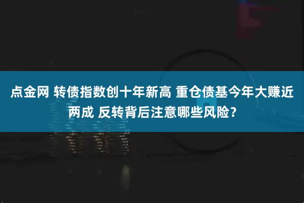 点金网 转债指数创十年新高 重仓债基今年大赚近两成 反转背后注意哪些风险？