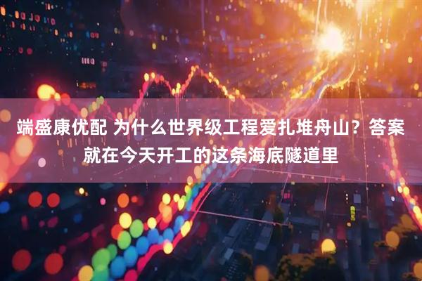 端盛康优配 为什么世界级工程爱扎堆舟山？答案就在今天开工的这条海底隧道里
