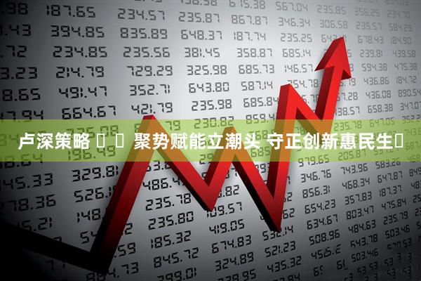 卢深策略 ​​聚势赋能立潮头 守正创新惠民生​