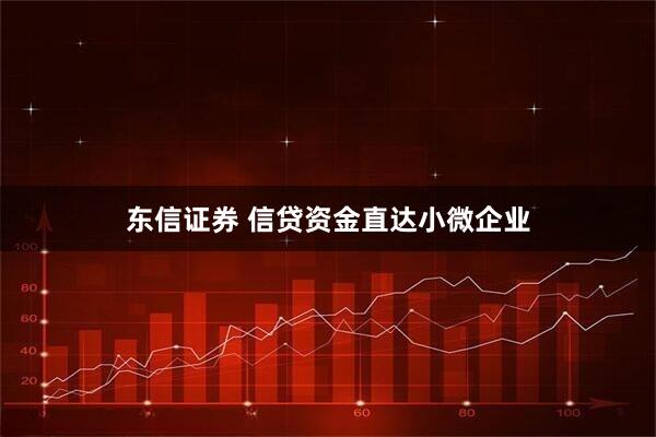 东信证券 信贷资金直达小微企业