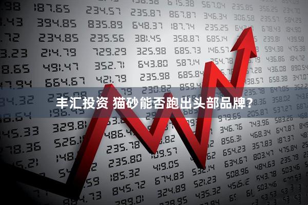 丰汇投资 猫砂能否跑出头部品牌？